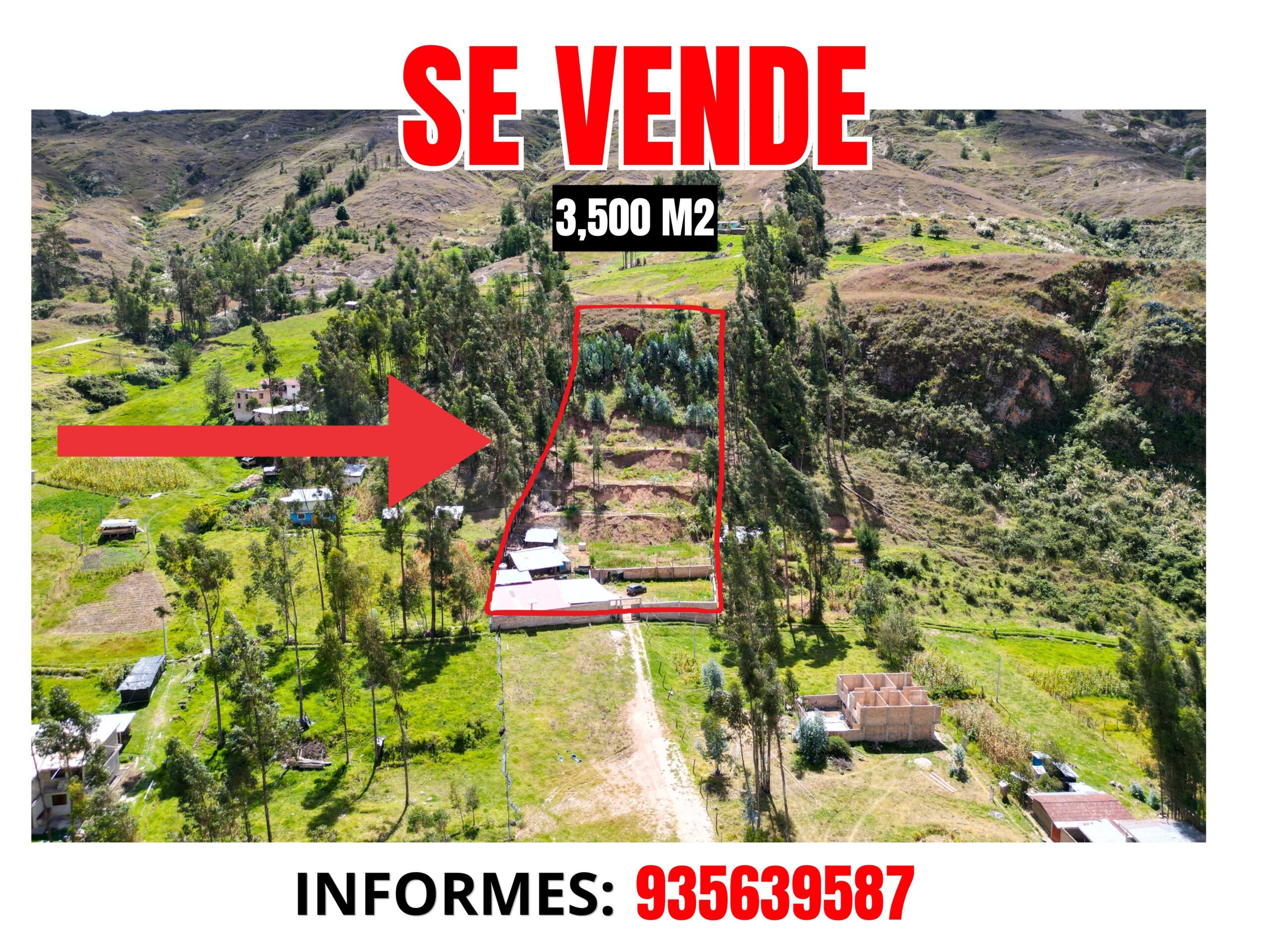TERRENO